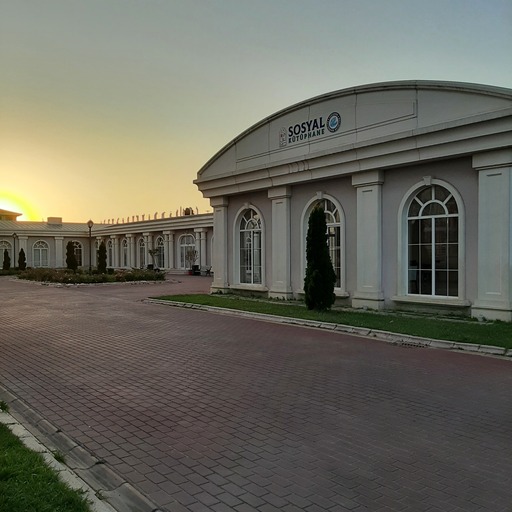Deep lush green forest with sunlight filtering through trees