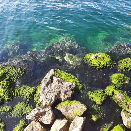 Clear tropical turquoise ocean water with deep blue tones